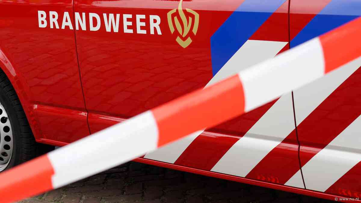 Vijf honden omgekomen bij brand in Haagse portiekwoning