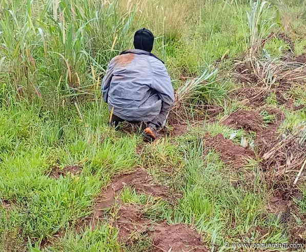 Five years after COVID, open defecation returns with vengeance in Cross River