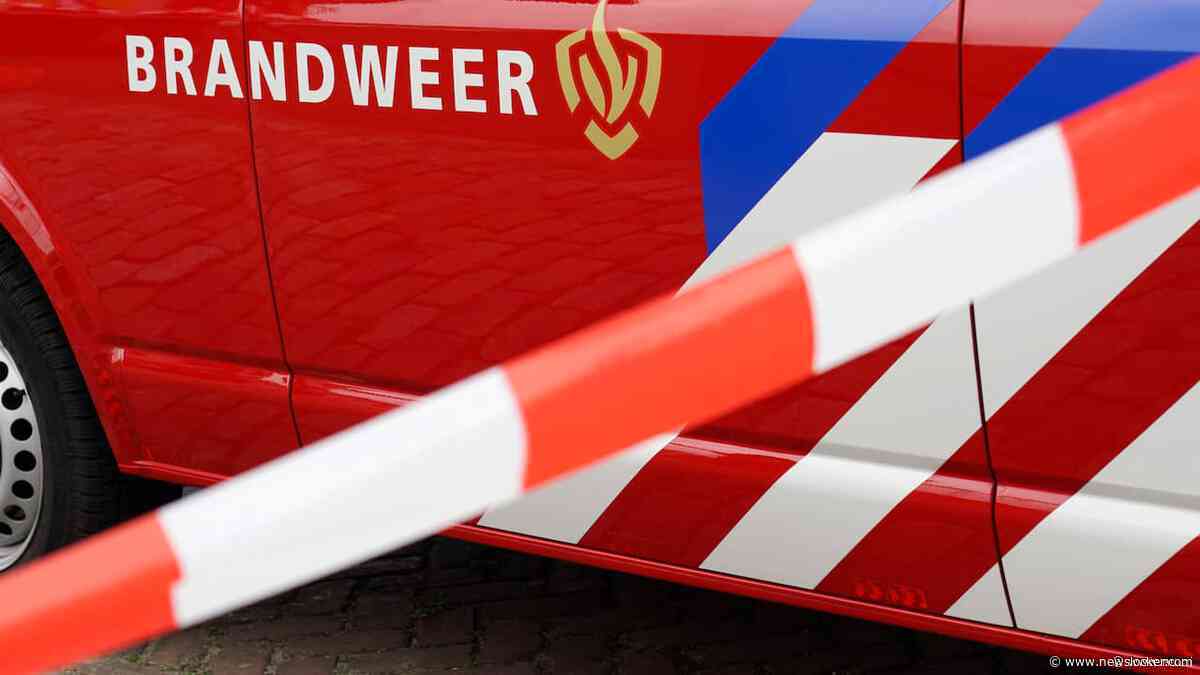 Vijf honden omgekomen bij brand in Haagse portiekwoning