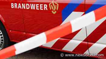 Vijf honden omgekomen bij brand in Haagse portiekwoning