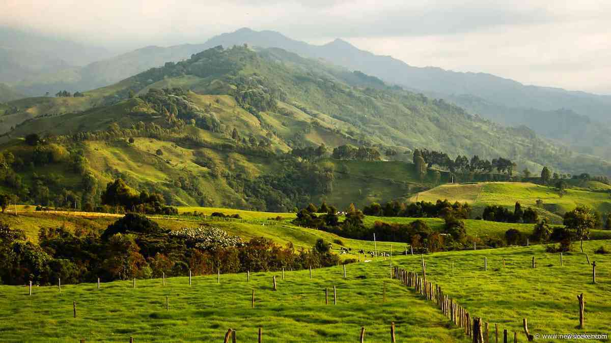 Misdrijf was doodsoorzaak van gevonden Nederlandse vrouw (41) in Colombia