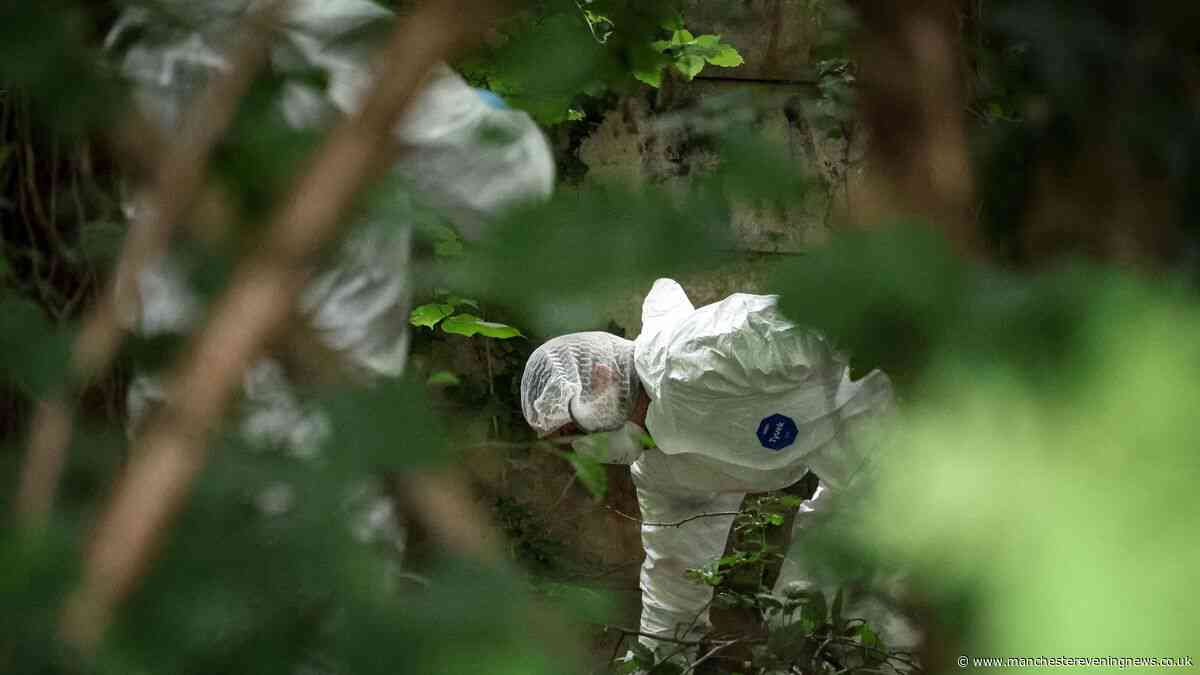 Forensics and organised crime police swoop woodland near schools and uncover two guns