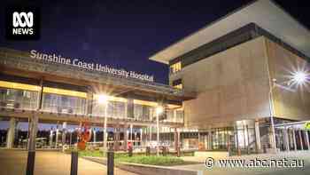 Concerns hospital giant could 'cherrypick' private patients from public hospital