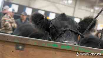 Livestock producer calls for clarity around how recent sale of REAL to Brandt will affect Agribition