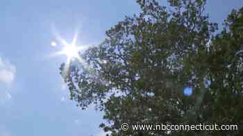 Lamont activates extreme hot weather protocol as dangerous heat is expected this week