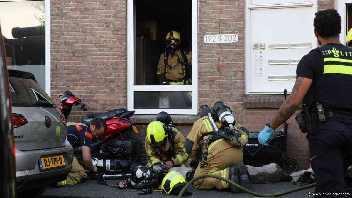 Vijf honden overleden door brand in portiekwoning in Den Haag: dieren op stoep gereanimeerd