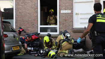 Vijf honden overleden door brand in portiekwoning in Den Haag: dieren op stoep gereanimeerd
