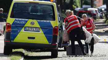 Verdachte schoot 6 mensen in Duitsland dood vanwege conflict over voogdij baby