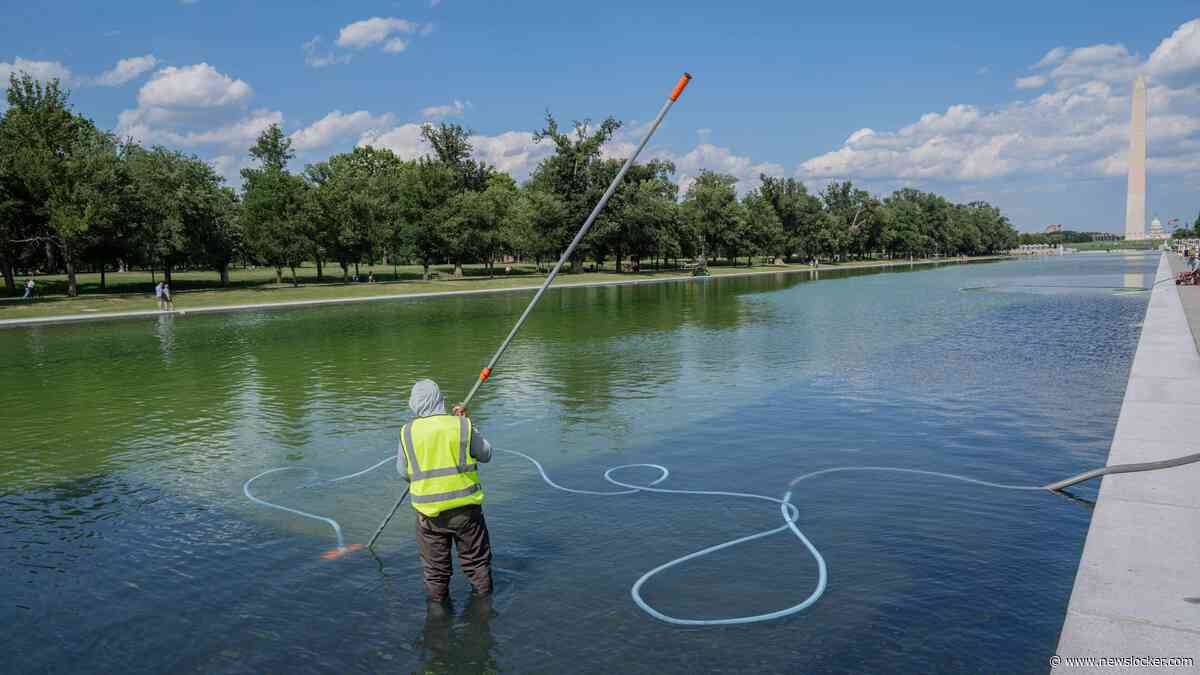 Renovatie Reflecting Pool leidt tot heftige zomerrel in VS: Trump wijst naar ’radicaal-links’, maar heeft volgens experts zelf ook iets uit te leggen