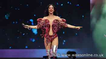 Katy Perry at Cardiff Castle banned items