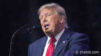 Trump renews call to force Lisa Cook from Federal Reserve board after Supreme Court decision