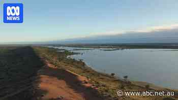 Simpson Desert has never looked better but where are the tourists?