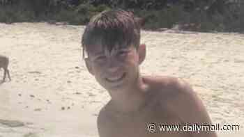 Boy, 12, reveals how brother's quick thinking saved him from shark bite while on gorgeous Bahamas vacation