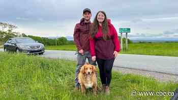 Charges laid after N.S. couple confronts car thieves to rescue stolen dog