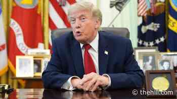 Trump calls democratic socialists ‘biggest threat to our nation there is’