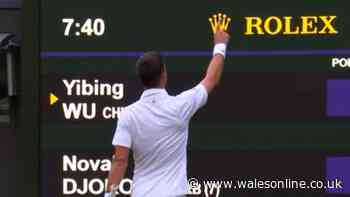 Novak Djokovic shows true colours as Wimbledon fan proposes during his match