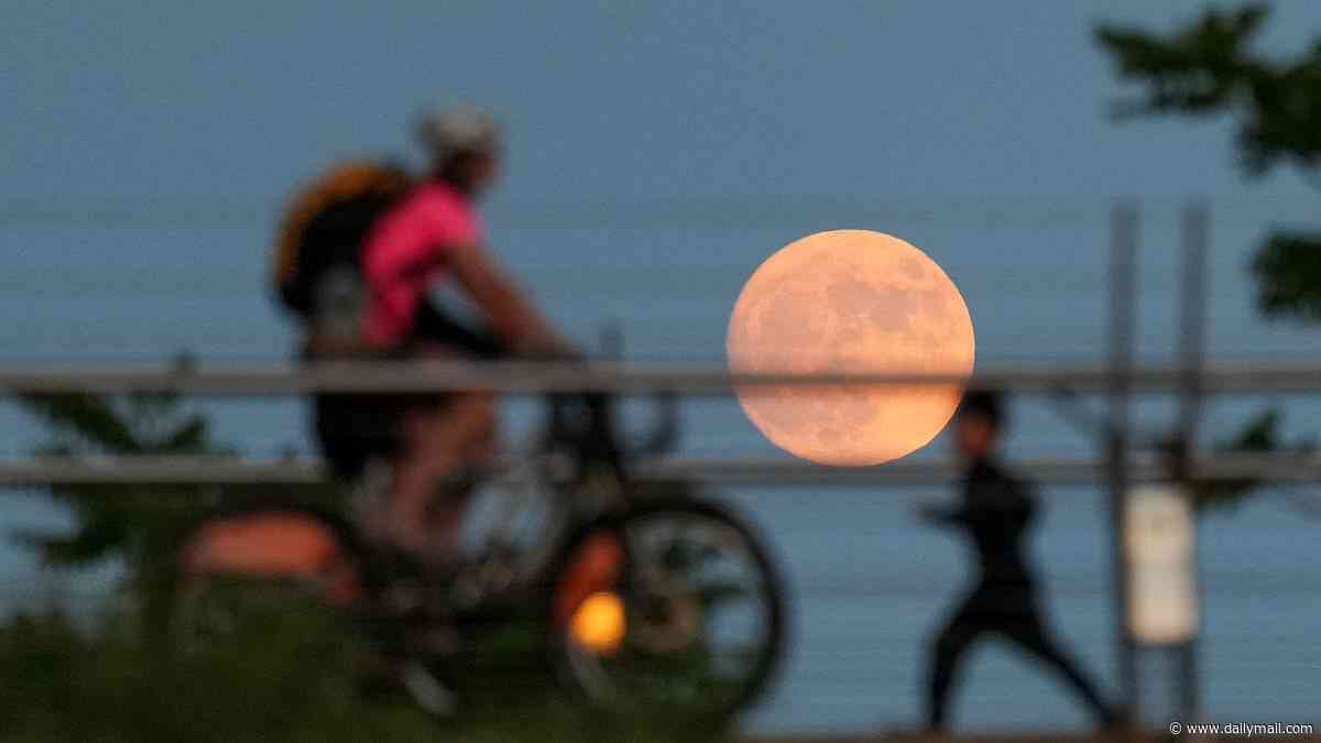 Rare 'Strawberry Moon' will be the lowest full moon in nearly 20 years TONIGHT... here's how to see it