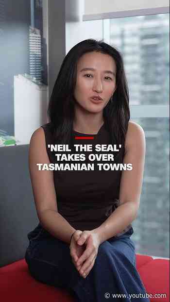 'Neil the seal' takes over Tasmanian towns