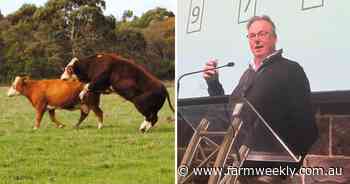 'Ready to rock': how mastering heifer joining is the best way to increase profit