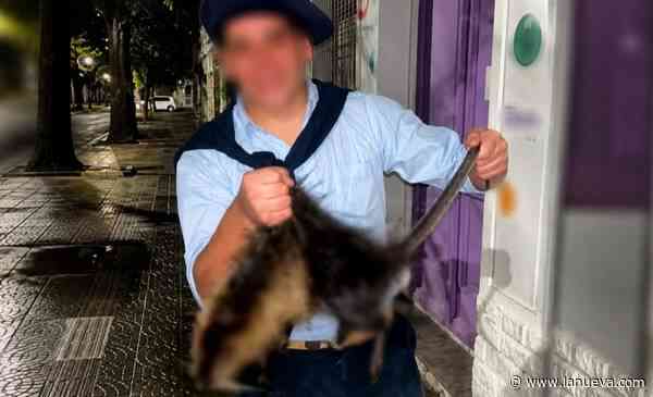 Maltrato animal: el Colegio de Veterinarios bonaerense pide sanciones penales contra los matanutrias