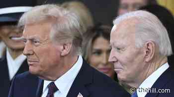 NYT's Haberman, Swan: Trump 'answers more questions than Joe Biden'