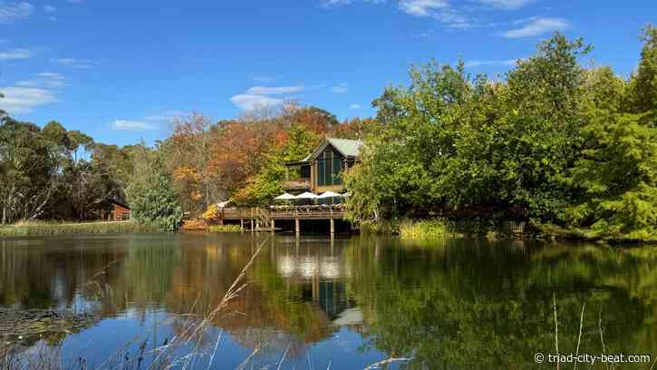 Discovering the Best Places to Stay in the Southern Highlands