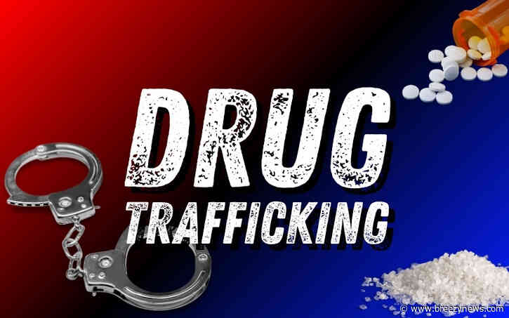 Drug Trafficking, Child Neglect, Domestic Violence, and Petit Larceny Arrests in Kosciusko and Attala County
