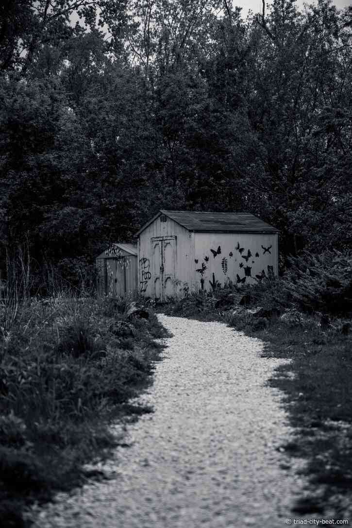 Art Shed and the Growing Popularity of Creative Spaces for Artists