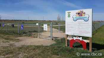 Moose Jaw dog parks remain closed after dog dies, multiple others fall ill