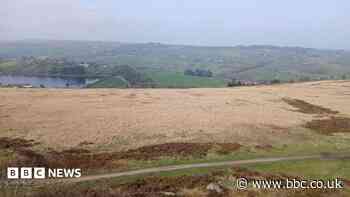 Moor project to reduce risk of severe wildfires