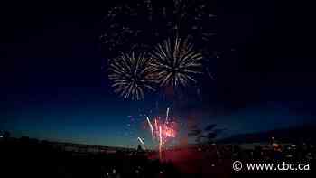 Edmonton city councillors consider centralized Diwali event to encourage firework compliance