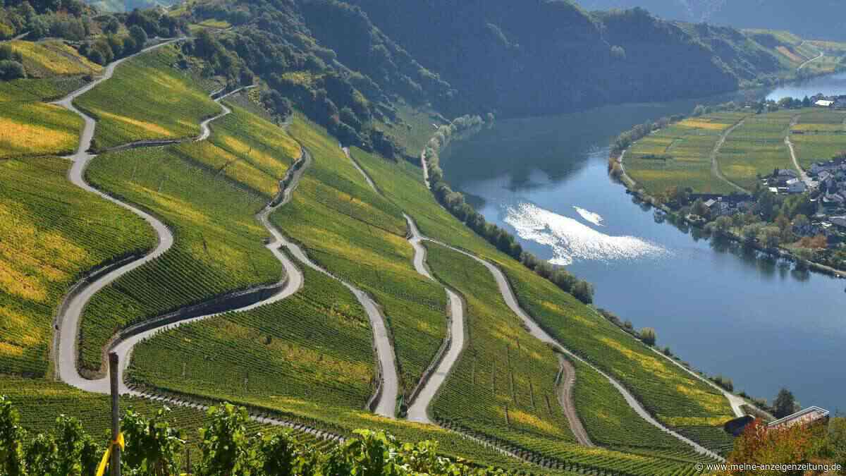 Der Trend zum schlanken Wein: Mehr Genuss, weniger Alkohol