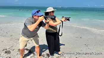 Photographers worry about proposed St. Pete Beach ordinance