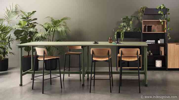 Created for convivial creatures