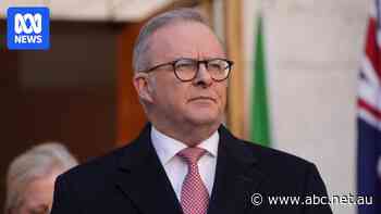 Ernst and Young staff allegedly access Albanese's banking information