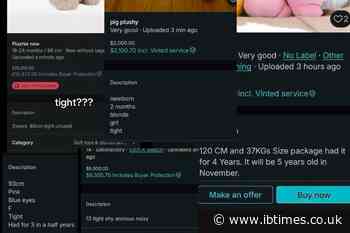 'Small and Healthy' and £20,000: How Vinted Toy Listings Have Sparked Child Trafficking Fears