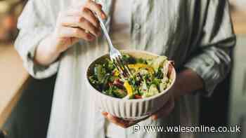 Vegan and vegetarian diet differences explained