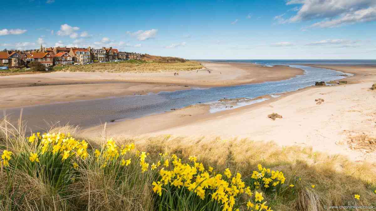 Not Bamburgh or Embleton - North East's best beach has been crowned