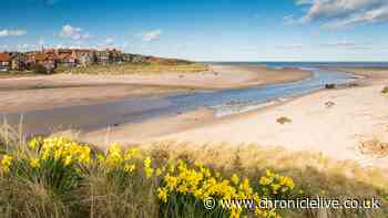Not Bamburgh or Embleton - North East's best beach has been crowned