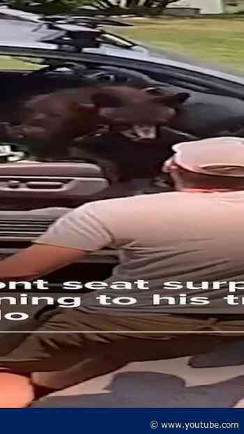 Bear in front seat surprises man returning to his truck in Colorado
