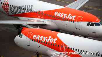EasyJet pilot urges passengers 'don't chance it' with common habit that can see you banned