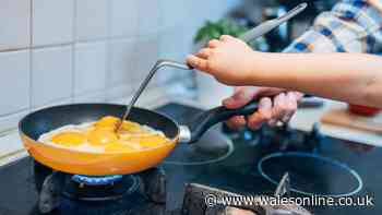 Key differences between sautéing and frying that every home cook should know