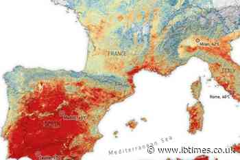 El Niño 2026 Is Strengthening — Why That Could Make Europe's Record Heatwave Even Worse