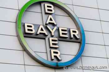 Roundup lawsuits dealt blow after Supreme Court backs Bayer