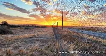 Aussie farms could be 'retired' to meet a $250m govt land buyback quota
