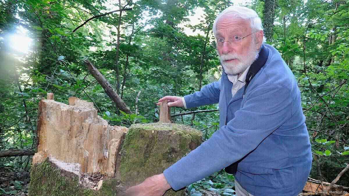 Führungen im ganzen Landkreis: Auf Exkursion mit Vogel-Experte Siering