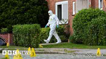 What do we know about the shooting in Stade, Germany?
