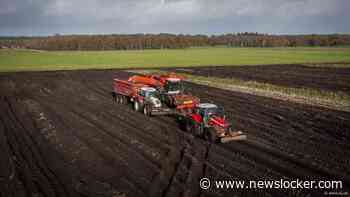 Boeren planten fors minder aardappelen na recordoogst van 2025