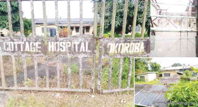 Bayelsa community screams for help as medical facility collapses