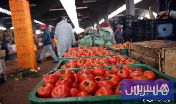 المغرب يتمسك بإبقاء تجميد صادرات الطماطم إلى عمق القارة الإفريقية